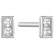 Glam Mini Stud Earrings-1