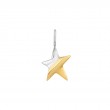 Two Tone Star Charm-1