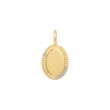 Gold Oval Charm-1