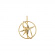 Gold Star Circle Charm-1