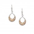 Sterling Silver 22k Gilded Window to the Soul Teardrop Leverback Earrings-1