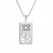 Sterling Silver Lion Rampant Rectangle Pendant-1